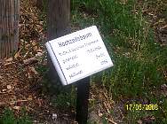 008_ADFC_Havelland-Radweg-nach Nauen_ 17_05_2008 Foto_j_Dirschl.jpg